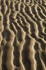 Image showing sand ripples