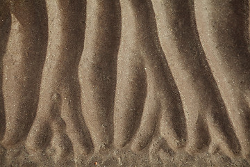 Image showing sand ripples