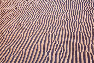 Image showing sand ripples