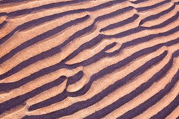 Image showing sand ripples