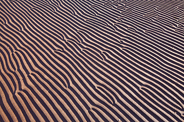 Image showing sand ripples