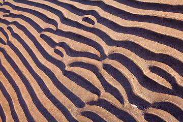 Image showing sand ripples