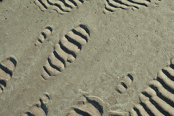 Image showing sand ripples