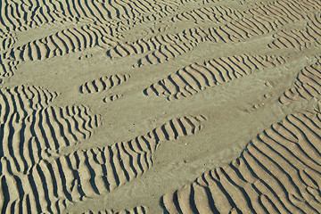 Image showing sand ripples