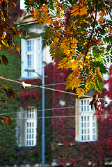 Image showing Autumn urban view