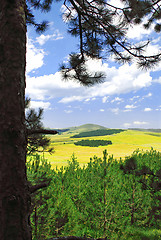 Image showing Rural landscape