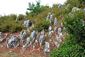 Image showing Stone landscape