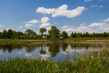 Image showing  Lithuania wild landscape