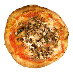 Image showing Pizza