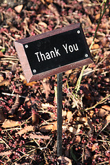 Image showing Thank you