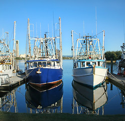 Image showing Prawn Trawlers At Dock