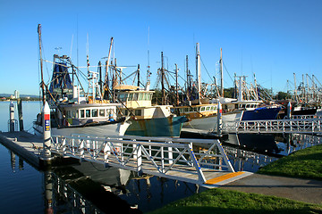 Image showing Shrimp and Fishing fleet at dock