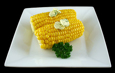 Image showing Fresh Corn 1