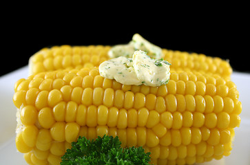 Image showing Fresh Corn 2