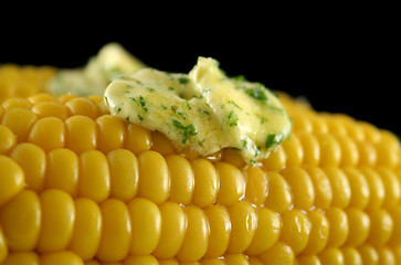 Image showing Fresh Corn 5