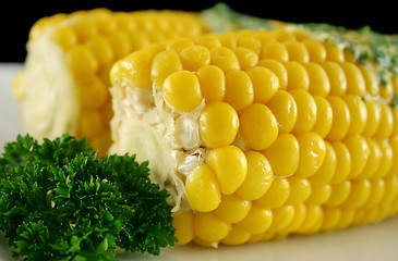 Image showing Fresh Corn 6