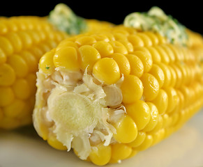 Image showing Fresh Corn 7