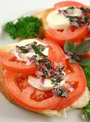 Image showing Tomato And Bocconcini Bites