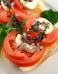 Image showing Tomato And Bocconcini Bites