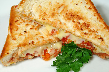 Image showing Toasted Cheese And Tomato Melts 1