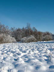 Image showing Winter landscape 2