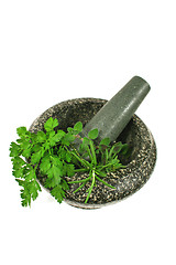 Image showing Mortar And Pestle with Fresh Herbs