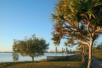 Image showing Southport Through Pandanus At Dawn