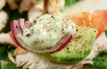 Image showing Mayo, Onion And Avocado