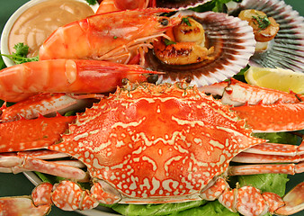 Image showing Seafood Platter