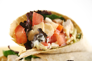 Image showing Chicken Salad Wrap