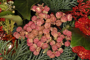 Image showing christmas wreath