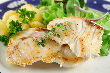 Image showing Pan Fried Perch 2