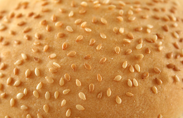 Image showing Sesame Seed Background