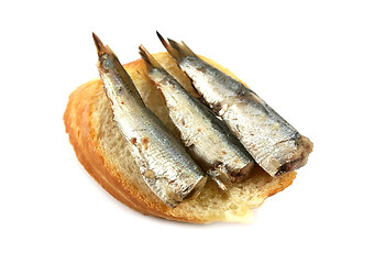 Image showing Sardines On Bread