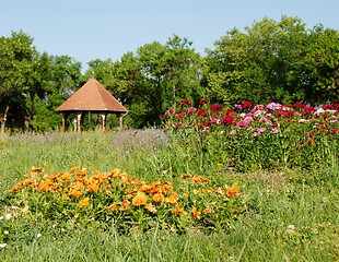 Image showing Summer landscape