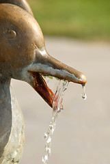 Image showing Fountain details