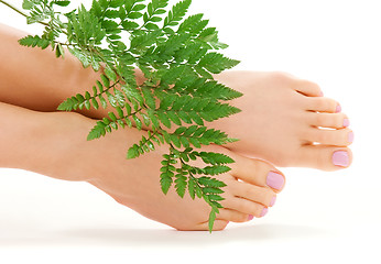 Image showing female feet with green leaf