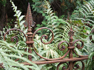 Image showing Rusty Fence