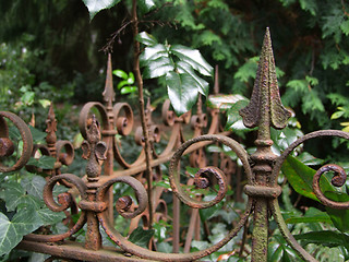 Image showing Neglected Grave