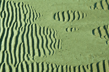 Image showing sand ripples