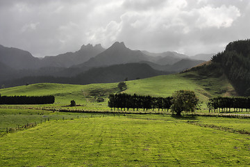 Image showing Green pastures