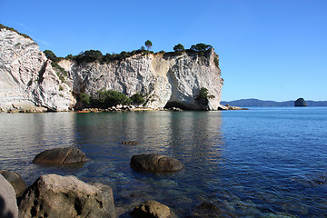 Image showing Coromandel