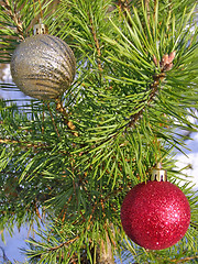 Image showing Christmas balls on the tree