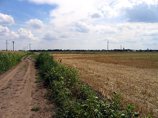 Image showing Wheat Field