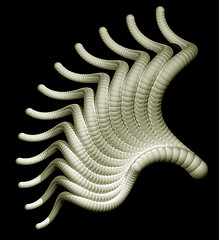 Image showing alien organism