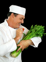 Image showing Celery Feeding Chef