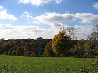 Image showing Field with Trees