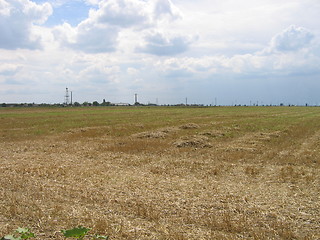 Image showing Wheat Field in Romania