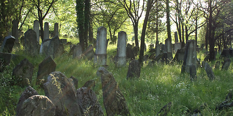 Image showing old jewish burial place