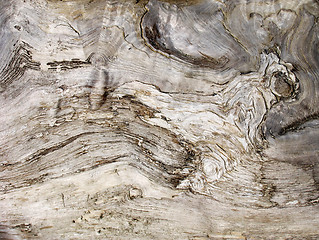 Image showing Old Wood Texture